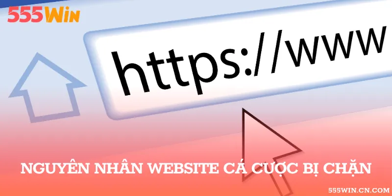 Lý giải vì sao website của nhà cái không thể truy cập được