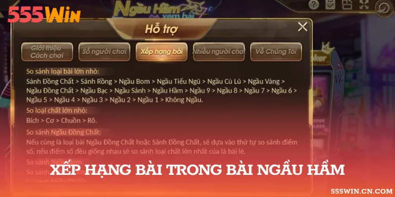 So sánh loại bài Ngầu Hầm theo 3 tiêu chí cụ thể